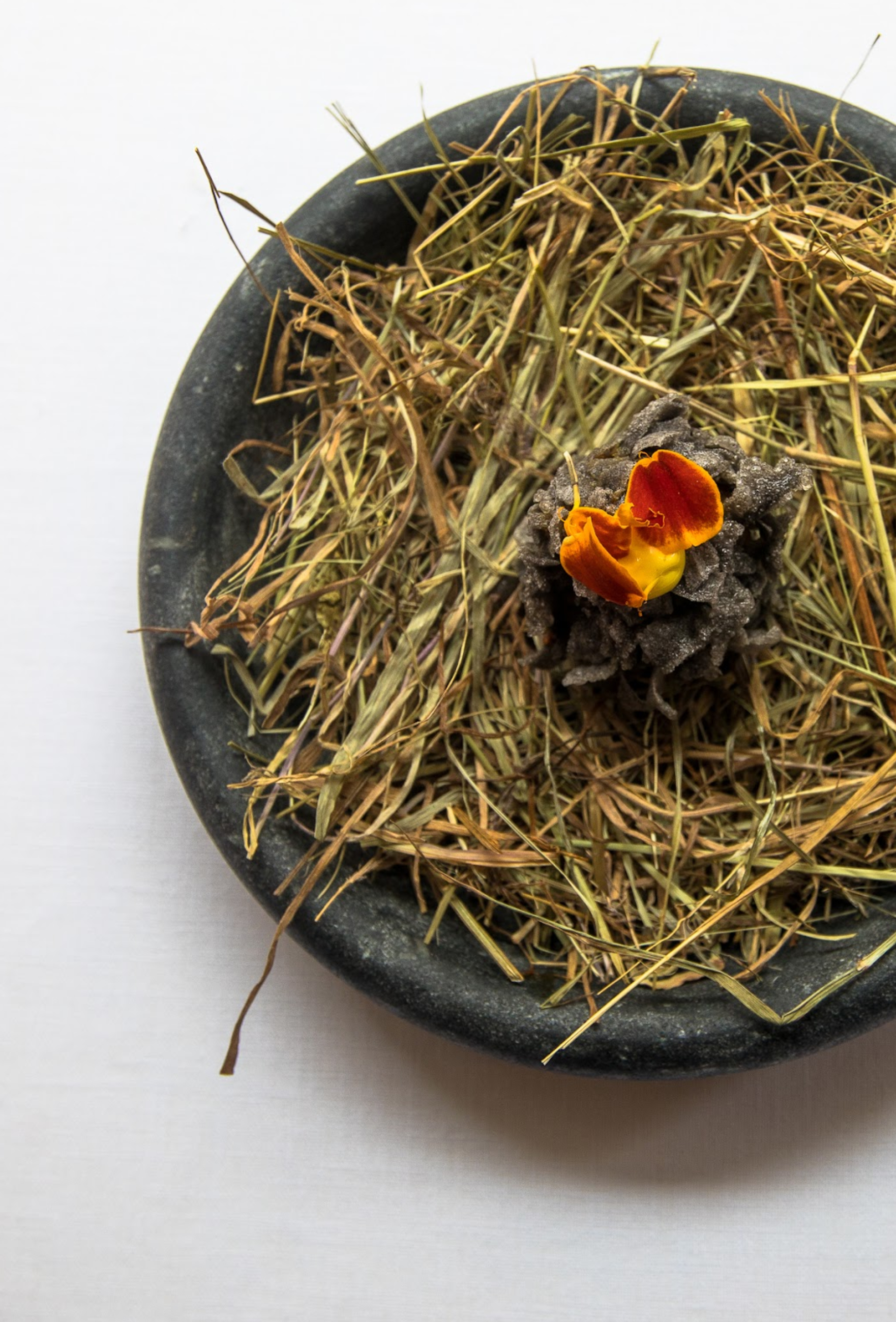 Kinn Collective Projects Roganic London 03