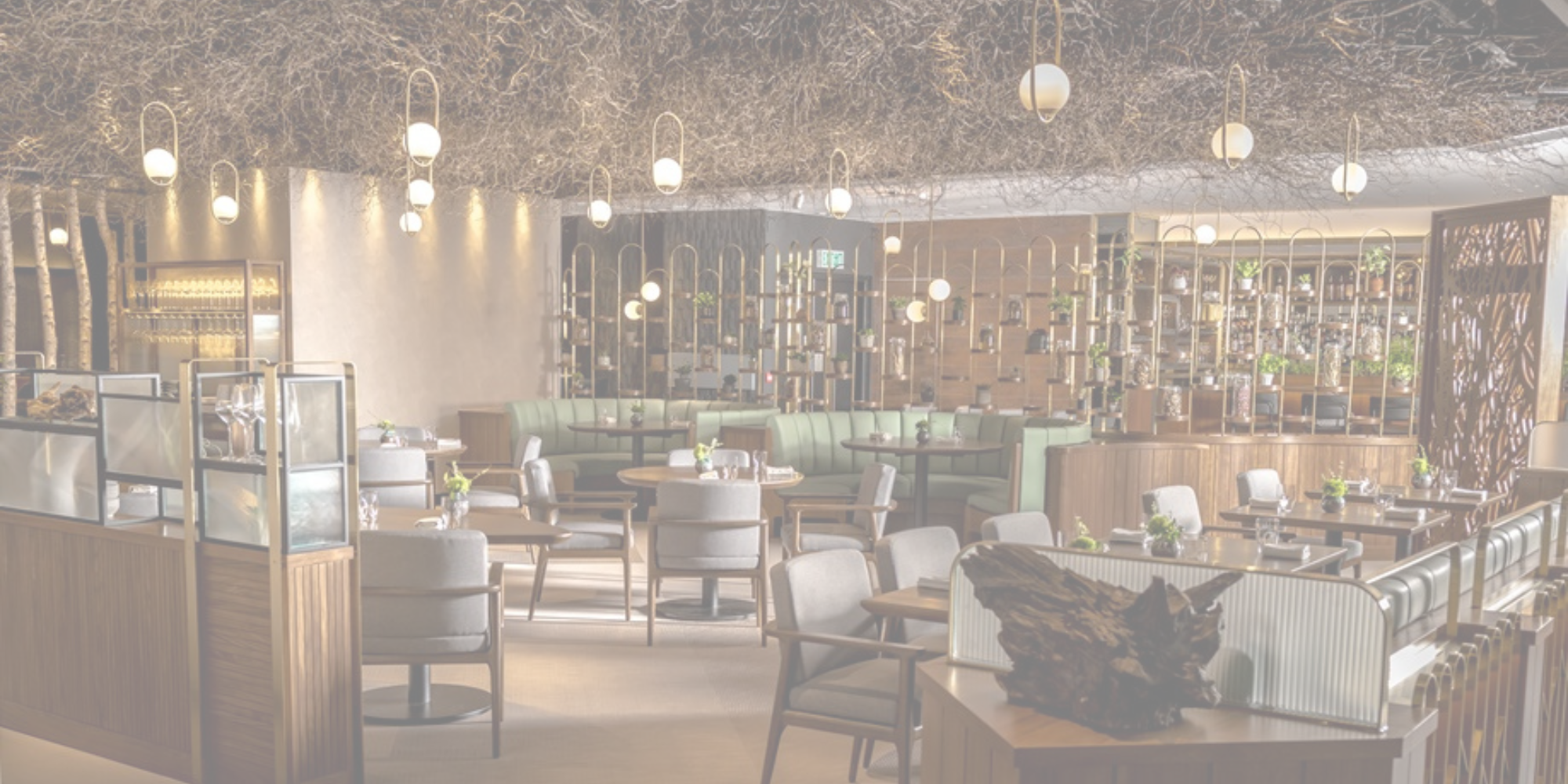 Kinn Collective Projects Sevices Hover Over Roganic London