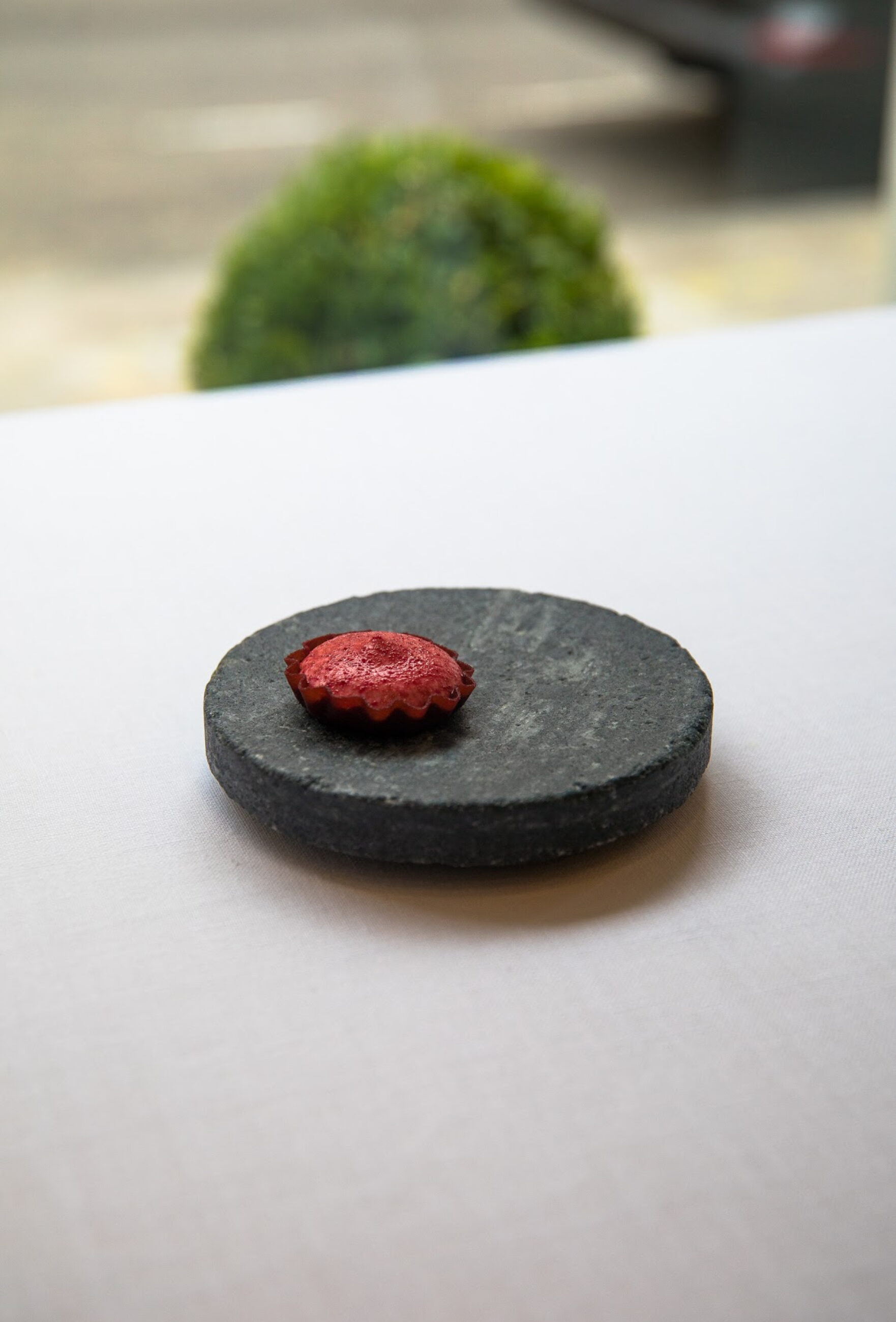 Kinn Collective Projects Roganic London 02