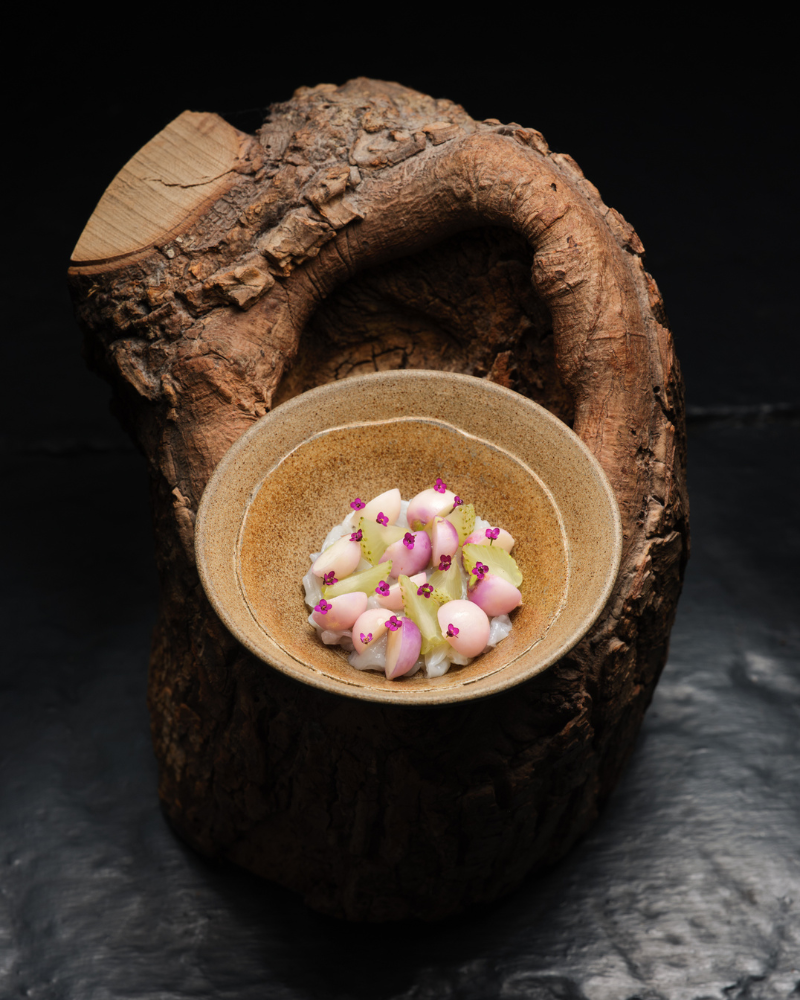 Kinn Collective L Enclume Oddstandard 18 1